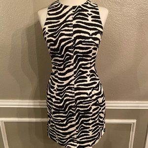 Zebra Mini Dress